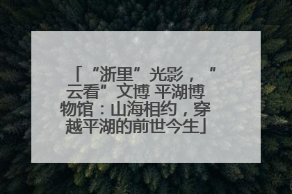 “浙里”光影，“云看”文博 平湖博物馆：山海相约，穿越平湖的前世今生