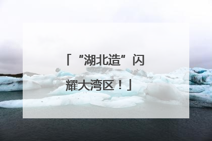 “湖北造”闪耀大湾区！