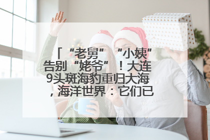 “老舅”“小姨”告别“姥爷”！大连9头斑海豹重归大海，海洋世界：它们已具备野外生存能力