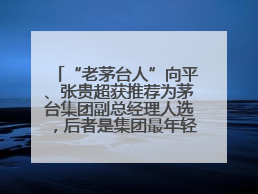 “老茅台人”向平、张贵超获推荐为茅台集团副总经理人选，后者是集团最年轻党委委员