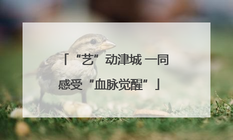 “艺”动津城 一同感受“血脉觉醒”