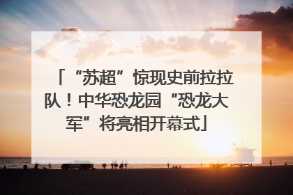 “苏超”惊现史前拉拉队！中华恐龙园“恐龙大军”将亮相开幕式