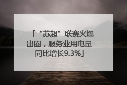 “苏超”联赛火爆出圈，服务业用电量同比增长9.3%