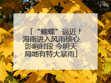 “蝴蝶”逼近！海南进入风雨核心影响时段 今明天局地有特大暴雨