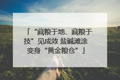 “藏粮于地、藏粮于技”见成效 盐碱滩涂变身“黄金粮仓”