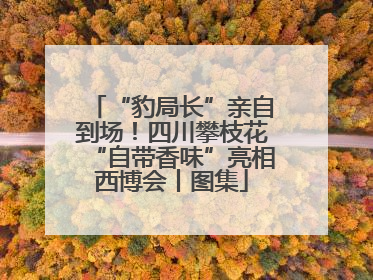 “豹局长”亲自到场！四川攀枝花“自带香味”亮相西博会丨图集