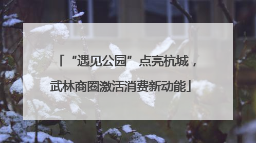 “遇见公园”点亮杭城，武林商圈激活消费新动能