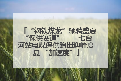 “钢铁煤龙”驰骋盛夏 “保供赛道”——七台河站电煤保供跑出迎峰度夏 “加速度”