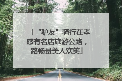 “驴友”骑行在孝感有名店旅游公路，路畅景美人欢笑