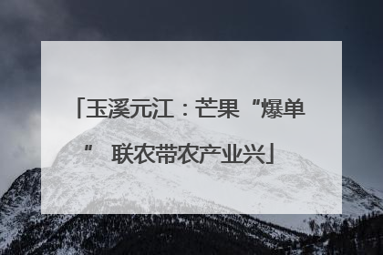玉溪元江：芒果“爆单” 联农带农产业兴