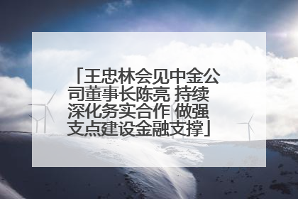 王忠林会见中金公司董事长陈亮 持续深化务实合作 做强支点建设金融支撑