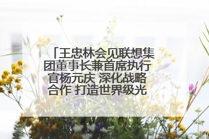 王忠林会见联想集团董事长兼首席执行官杨元庆 深化战略合作 打造世界级光电子信息产业集群
