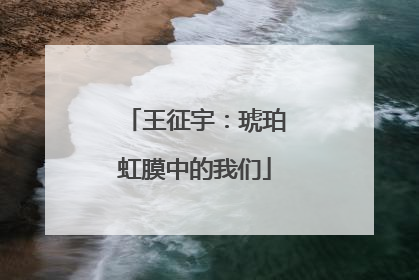 王征宇：琥珀虹膜中的我们