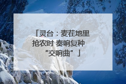 灵台：麦茬地里抢农时 奏响复种“交响曲”