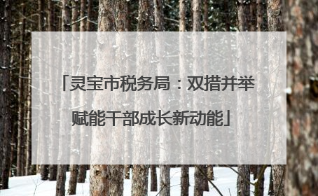 灵宝市税务局：双措并举 赋能干部成长新动能