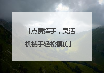 点赞挥手，灵活机械手轻松模仿