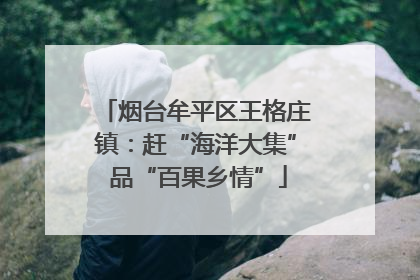烟台牟平区王格庄镇：赶“海洋大集” 品“百果乡情”