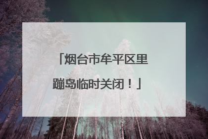 烟台市牟平区里蹦岛临时关闭！