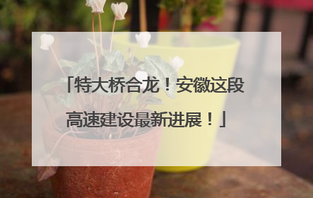 特大桥合龙！安徽这段高速建设最新进展！