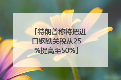 特朗普称将把进口钢铁关税从25%提高至50%