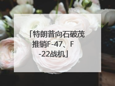 特朗普向石破茂推销F-47、F-22战机