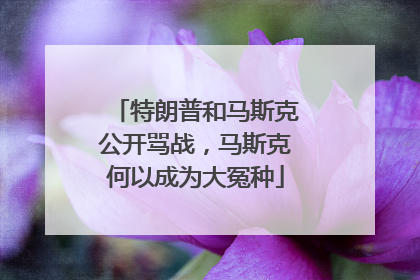 特朗普和马斯克公开骂战，马斯克何以成为大冤种
