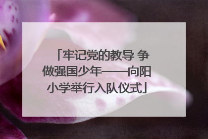 牢记党的教导 争做强国少年——向阳小学举行入队仪式