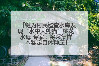 犍为村民巡查水库发现“水中大熊猫”桃花水母 专家：将采集样本鉴定具体种属