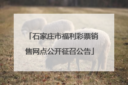 石家庄市福利彩票销售网点公开征召公告
