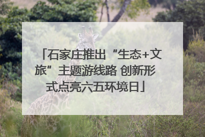 石家庄推出“生态+文旅”主题游线路 创新形式点亮六五环境日