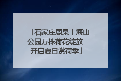 石家庄鹿泉丨海山公园万株荷花绽放 开启夏日赏荷季