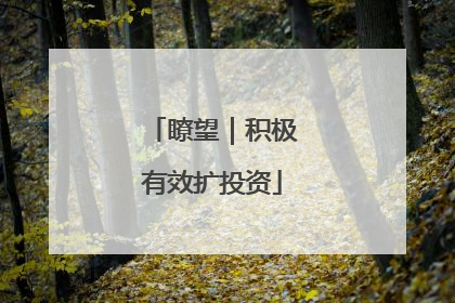 瞭望｜积极有效扩投资