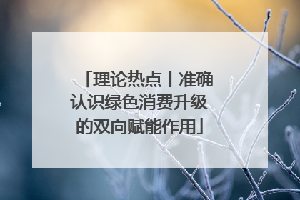 理论热点丨准确认识绿色消费升级的双向赋能作用