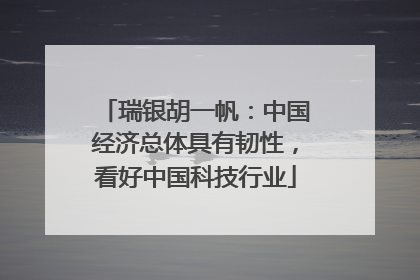 瑞银胡一帆：中国经济总体具有韧性，看好中国科技行业