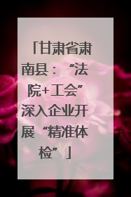 甘肃省肃南县：“法院+工会”深入企业开展“精准体检”