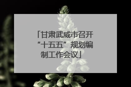 甘肃武威市召开“十五五”规划编制工作会议