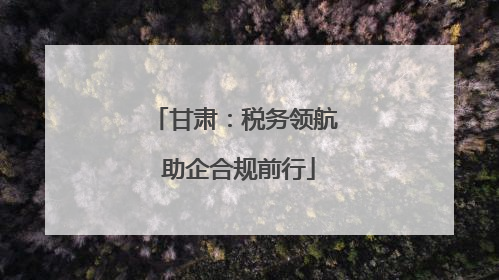 甘肃：税务领航 助企合规前行