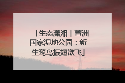 生态潇湘｜萱洲国家湿地公园：新生鹭鸟振翅欲飞