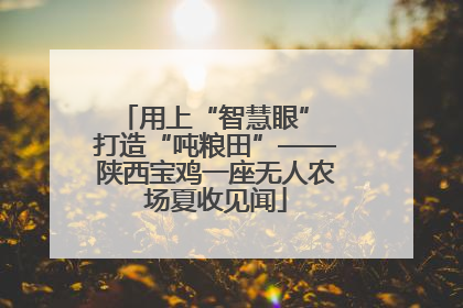 用上“智慧眼” 打造“吨粮田”——陕西宝鸡一座无人农场夏收见闻