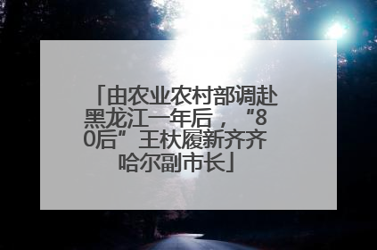 由农业农村部调赴黑龙江一年后，“80后”王杕履新齐齐哈尔副市长