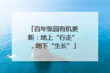 百年张园有机更新：地上“行走”，地下“生长”
