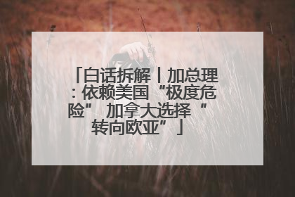 白话拆解丨加总理：依赖美国“极度危险” 加拿大选择“转向欧亚”