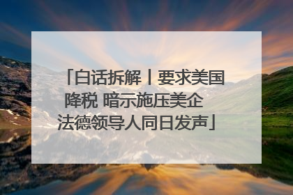 白话拆解丨要求美国降税 暗示施压美企 法德领导人同日发声