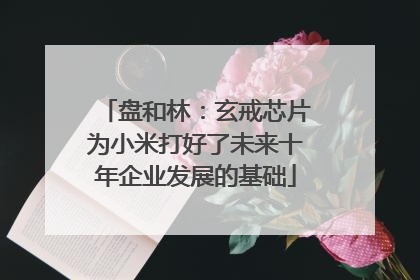 盘和林：玄戒芯片为小米打好了未来十年企业发展的基础