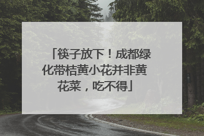 筷子放下！成都绿化带桔黄小花并非黄花菜，吃不得