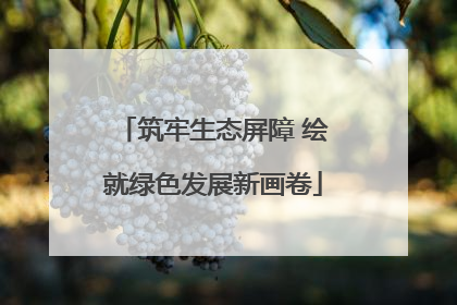 筑牢生态屏障 绘就绿色发展新画卷