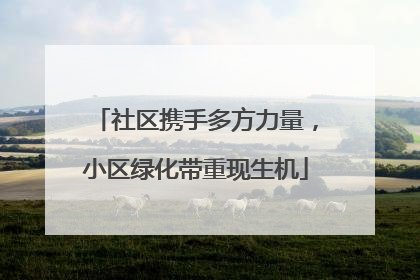 社区携手多方力量，小区绿化带重现生机