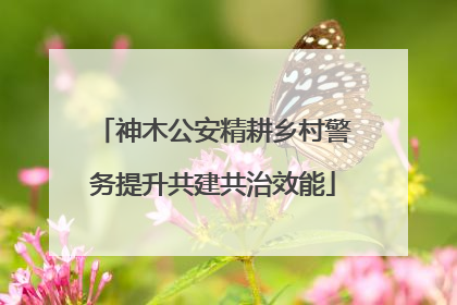 神木公安精耕乡村警务提升共建共治效能