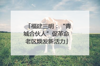 福建三明：“青城合伙人”促革命老区焕发新活力