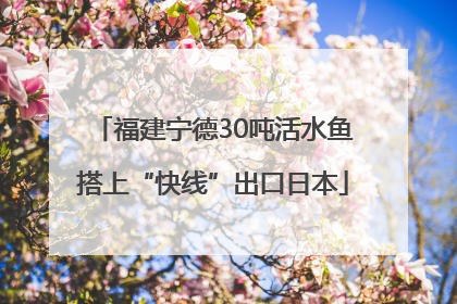 福建宁德30吨活水鱼搭上“快线”出口日本